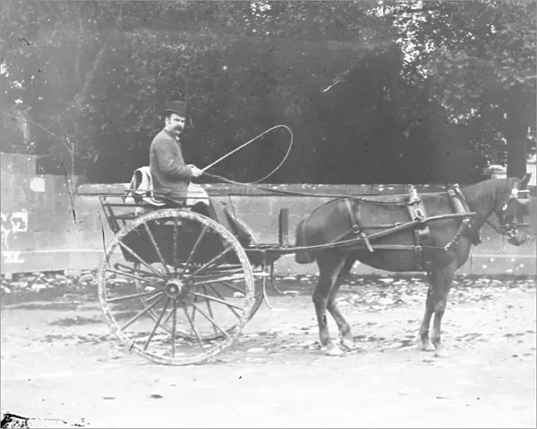 Gentleman driving a horse and trap, Mid Wales
