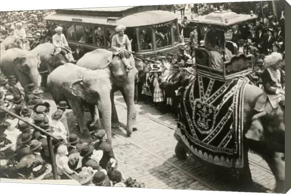 Circus elephants on parrade down a street in Washington D. C
