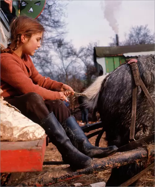 Gipsy girl plaiting horses tail at an encampment in Surrey