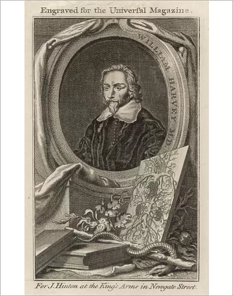 HARVEY (1578-1657)