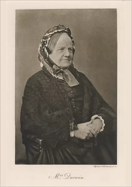 Darwin, Wife of Charles