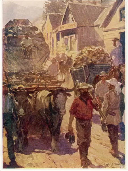 Streets of Bendigo, Australia, during the Gold Rush
