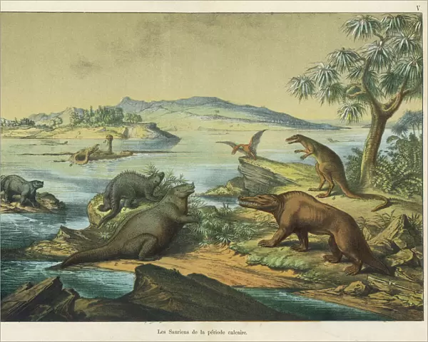 Animals and plants of the post-Jurassic era