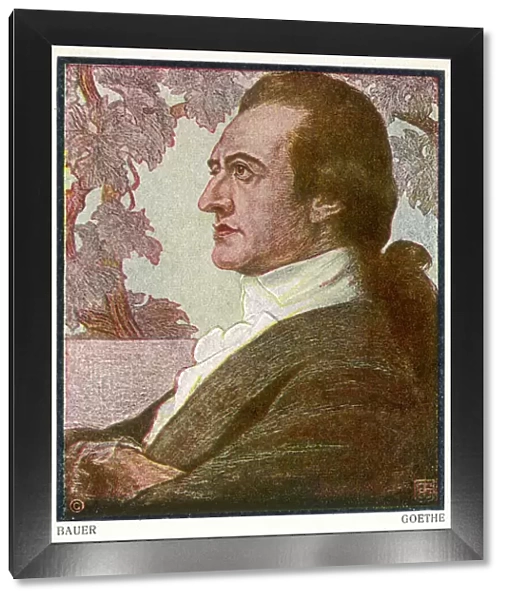 Johann Wolfgang von Goethe, German writer
