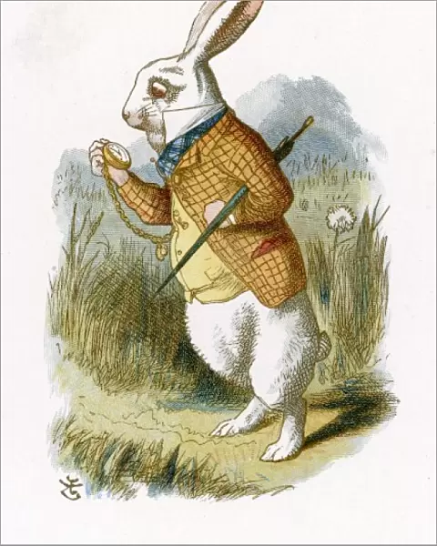 Carroll  /  White Rabbit