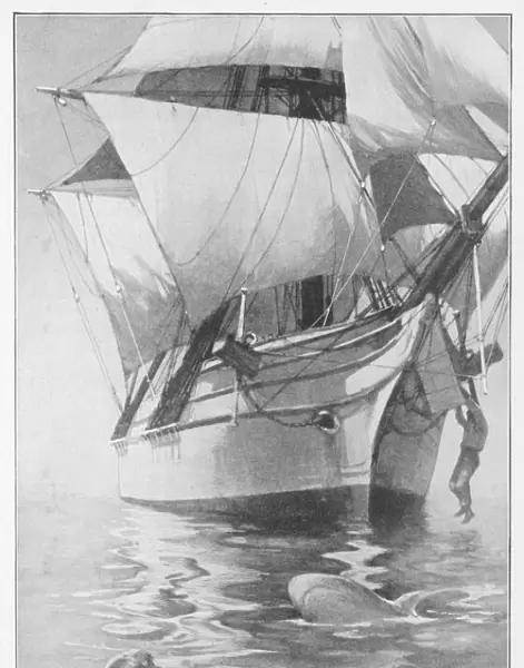 Mary Celeste  /  Fosdyk 1872