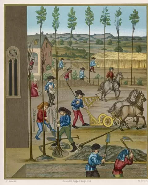 Farming 15th Century