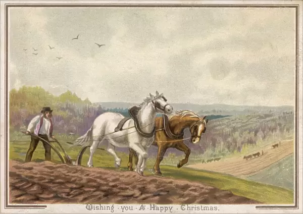 Ploughing with Horses