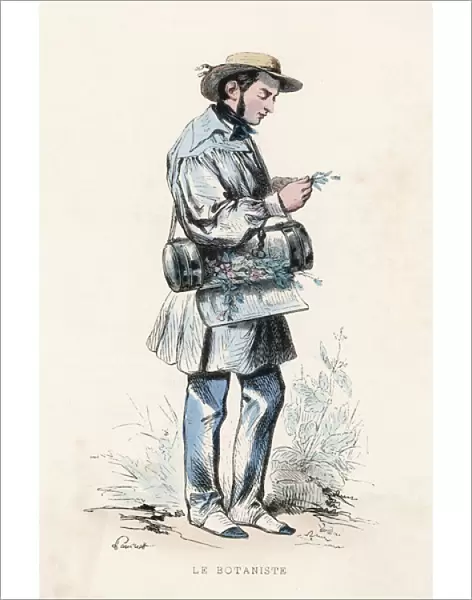Botanist at Work  /  1850