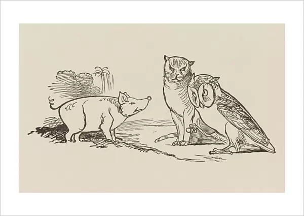 Lear  /  Owl & Pussycat