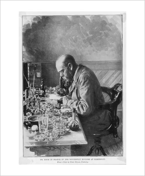 Robert Koch in Kimberley