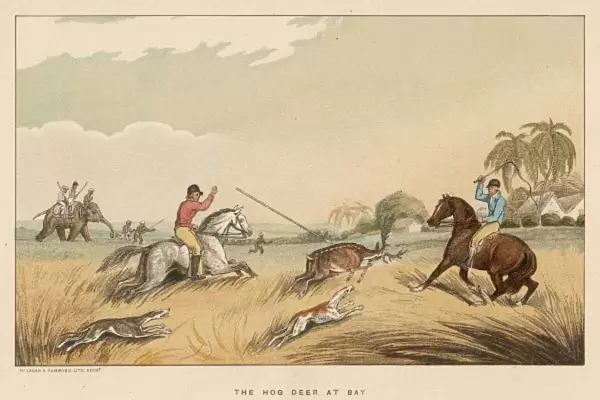 Hunting Hog Deer 1807