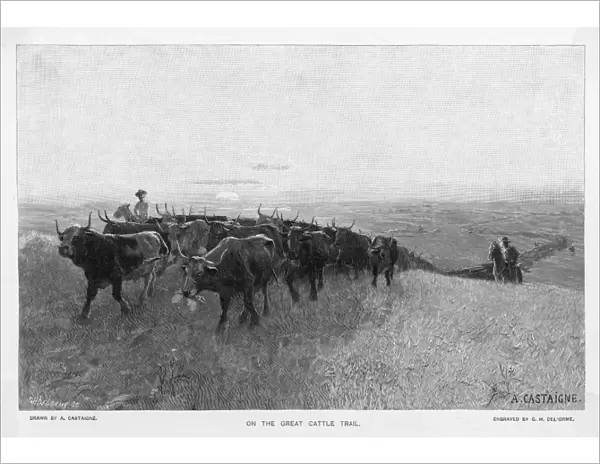 Abilene Trail for Cattle