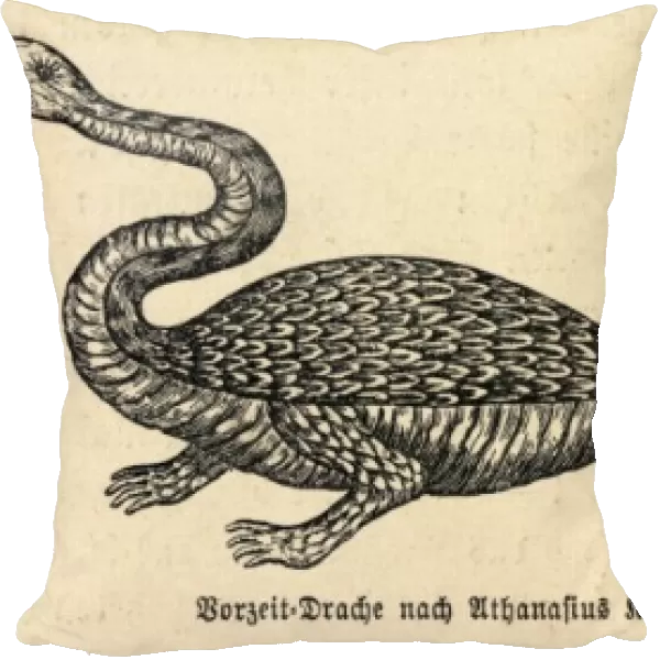 Dragon (Kircher)