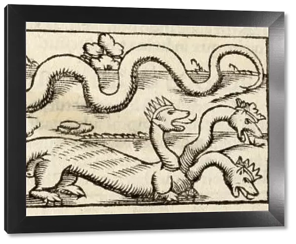 Dragon (Munster)