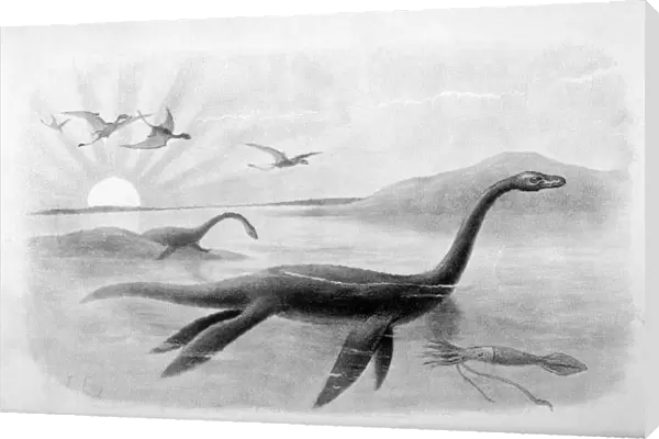 Extinct  /  Plesiosaurus