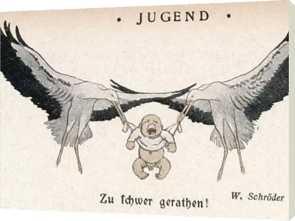 Stork  /  Baby  /  Jugend 1902
