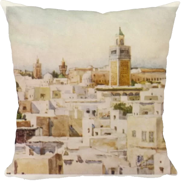 Tunis Rooftops