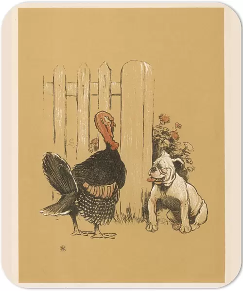Dog and Turkey 1905