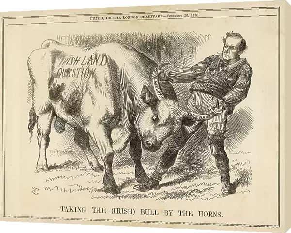 Taking Bull by Horns