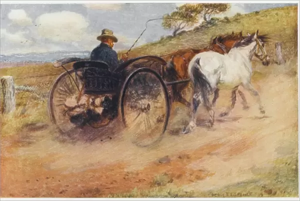 Australian Mail-Cart