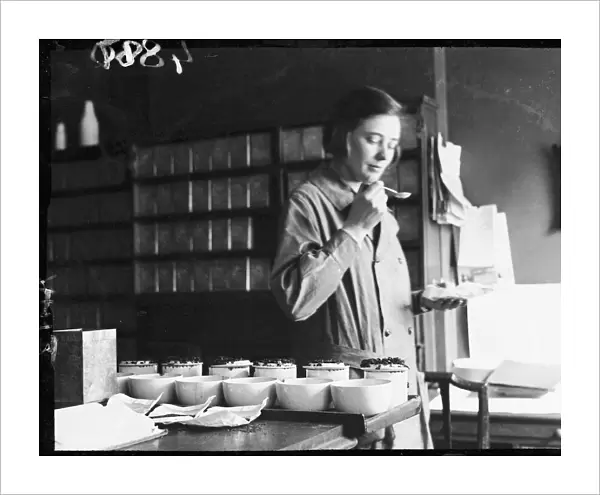 Tea Tasting 1930S
