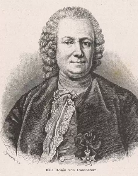 Nils Von Rosenstein