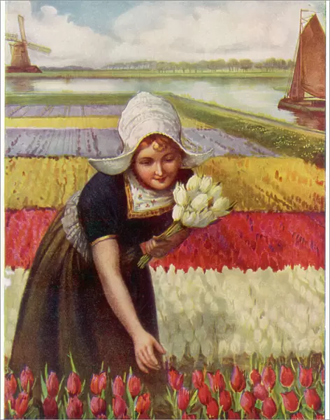 Dutch Girl & Tulips
