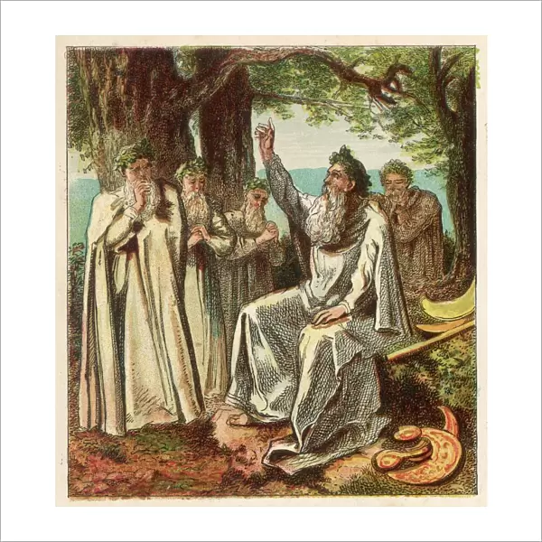 DRUIDS. Druid priests of Ancient Britain in contemplative mood in a forest