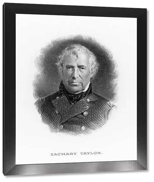 Zachary Taylor President