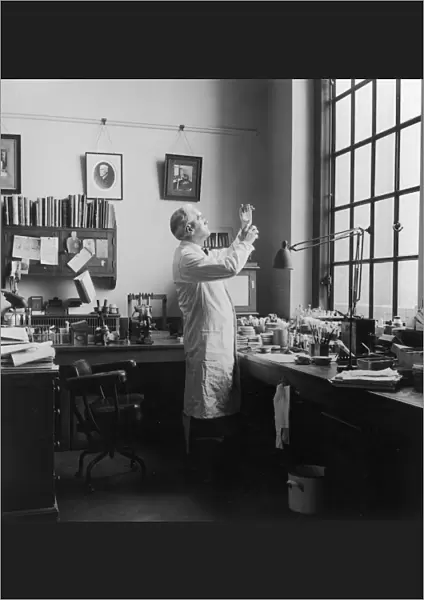 Fleming in his Lab  /  Photo