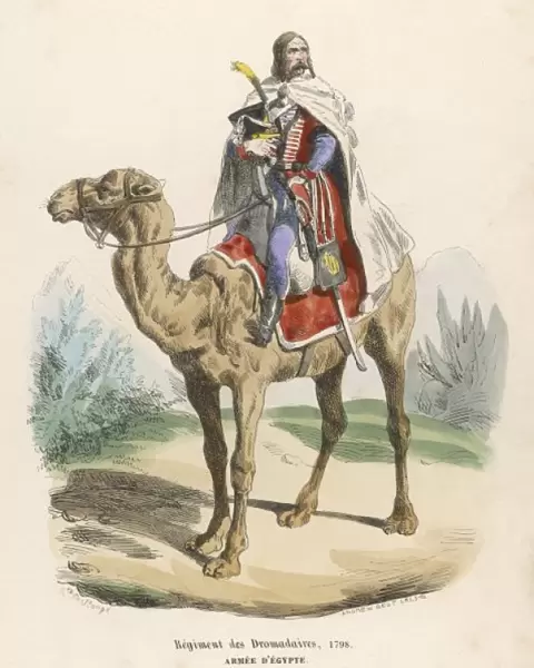 French Dromedary Cavalry