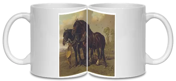 Horse  /  Plough 1870S