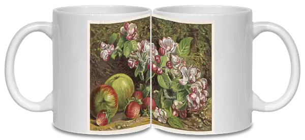 Fruit  /  Apples Straws 1861