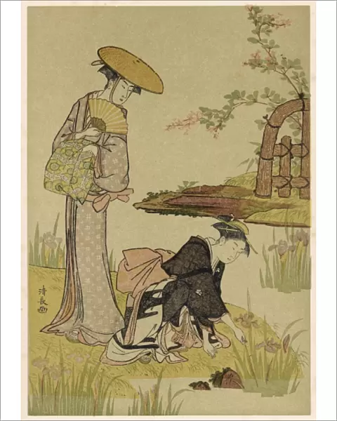 Gardens  /  Iris Japan 1908