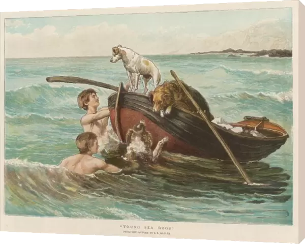 Boys Swim with Dogs
