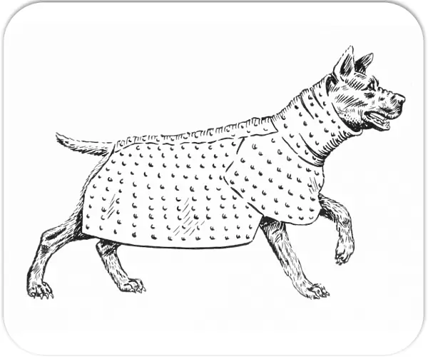 Ancient Dog Armour - 2