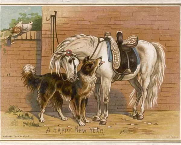 Dog & Pony New Yr Card