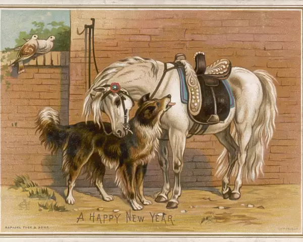 Dog & Pony New Yr Card