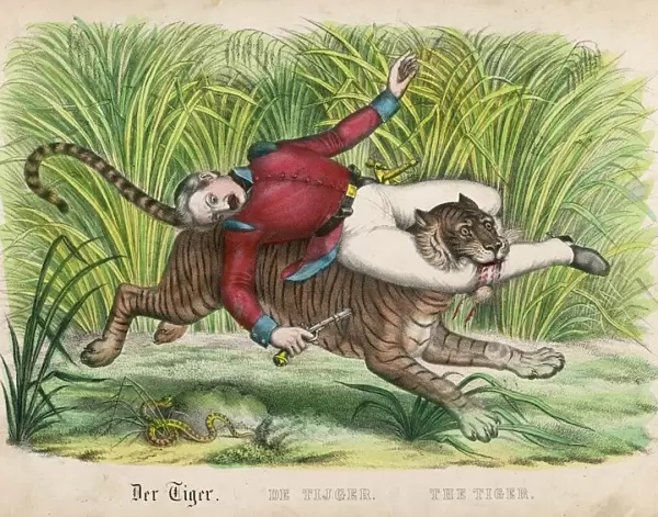 Tiger Carries Off Man