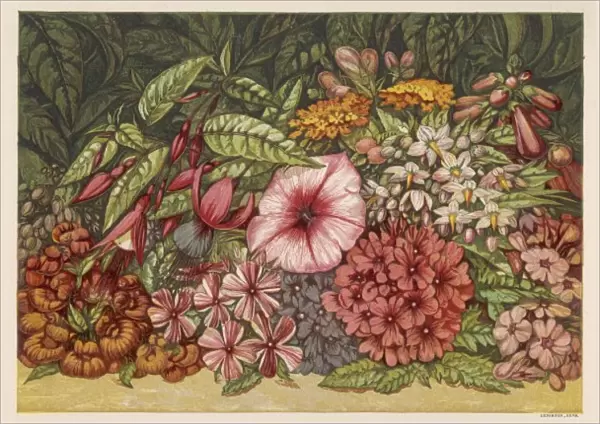 Autumn Flowers 1866