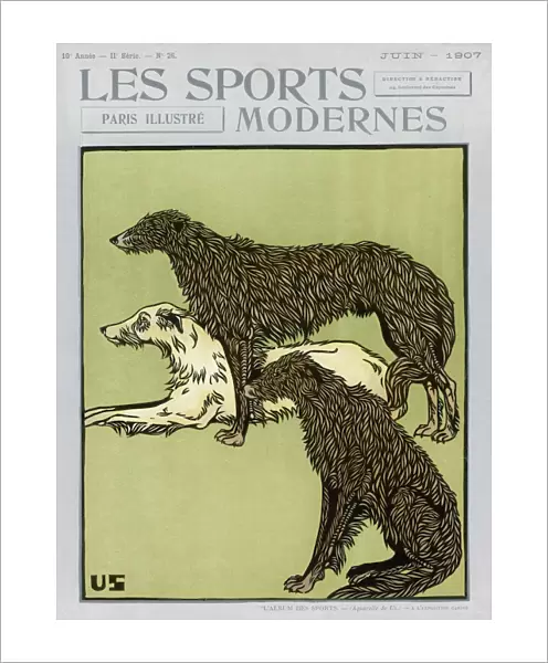 Deerhounds on Cover