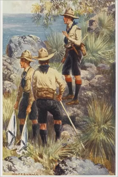 Scouts  /  Australia 1911