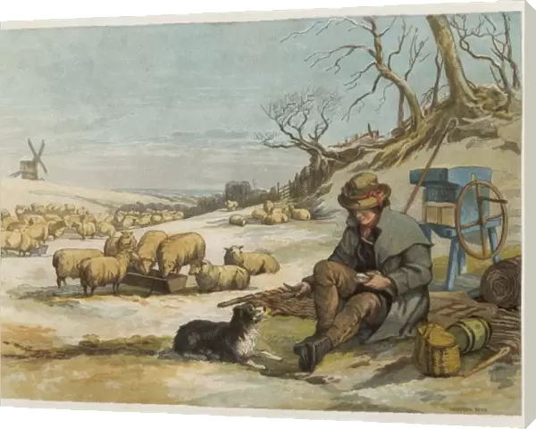 Shepherd & Dog in Winter