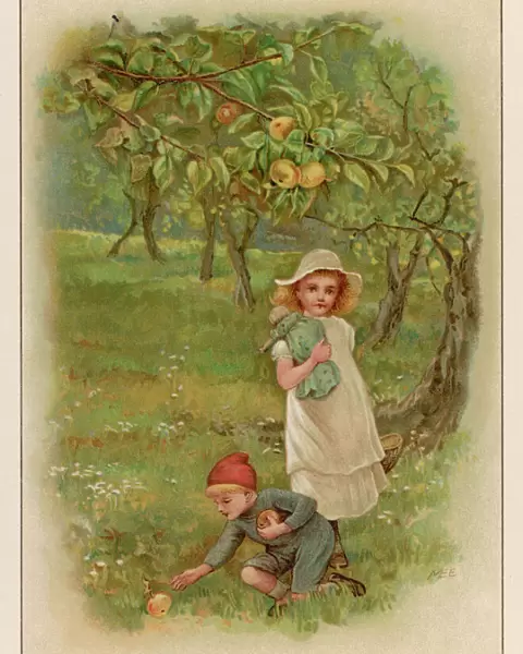 Boy  /  Girl Gather Apples