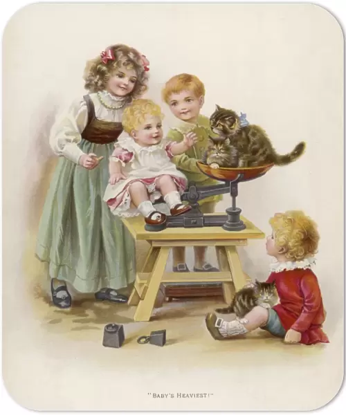 Weighing Baby and Cats