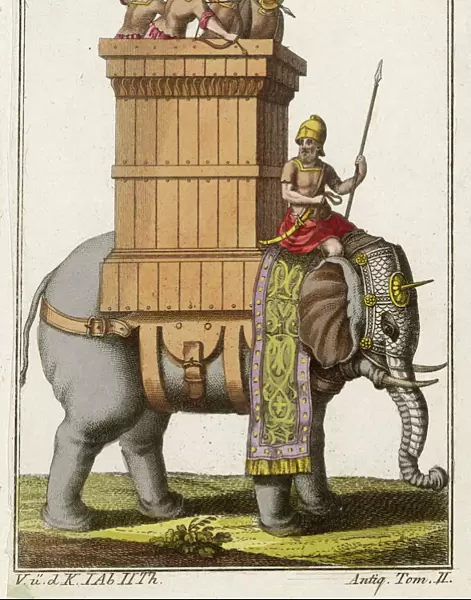 Indian Military Elephant