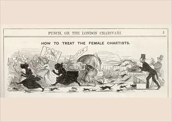 Female Chartists Cartoon