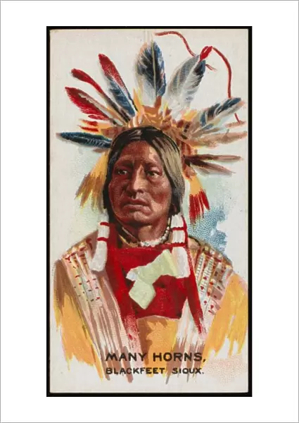 Racial  /  Many Horns  /  Sioux