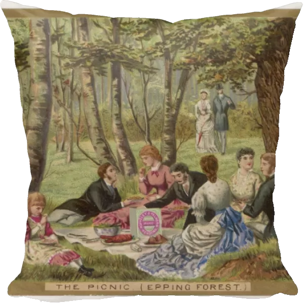 Picnic with Biscuits